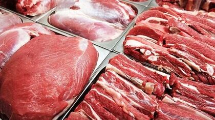 ماجرای گوشت اسب و الاغ در بازار چیست؟ سازمان دامپزشکی توضیح داد