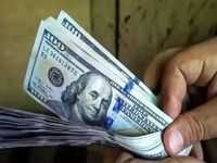 قیمت دلار امروز شنبه 18 مهر 1405 / دلار گران شد + جزئیات