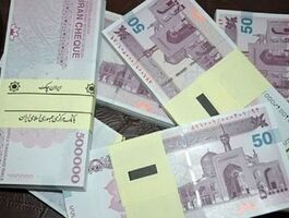 فوری/ واریزی دو میلیونی دولت برای این افراد + ویدئو