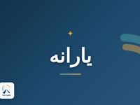 این افراد منتظر یارانه ویژه دولت باشند + جزئیات و شرایط دریافت
