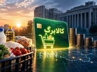 سامانه شمیم کالابرگ چیست؟ / دانلود برنامه شمیم و استعلام اعتبار با کد ملی