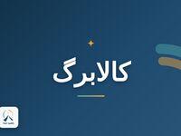 روش های استعلام کالابرگ الکترونیکی/ چطور موجودی کالابرگ خود را ببینیم؟